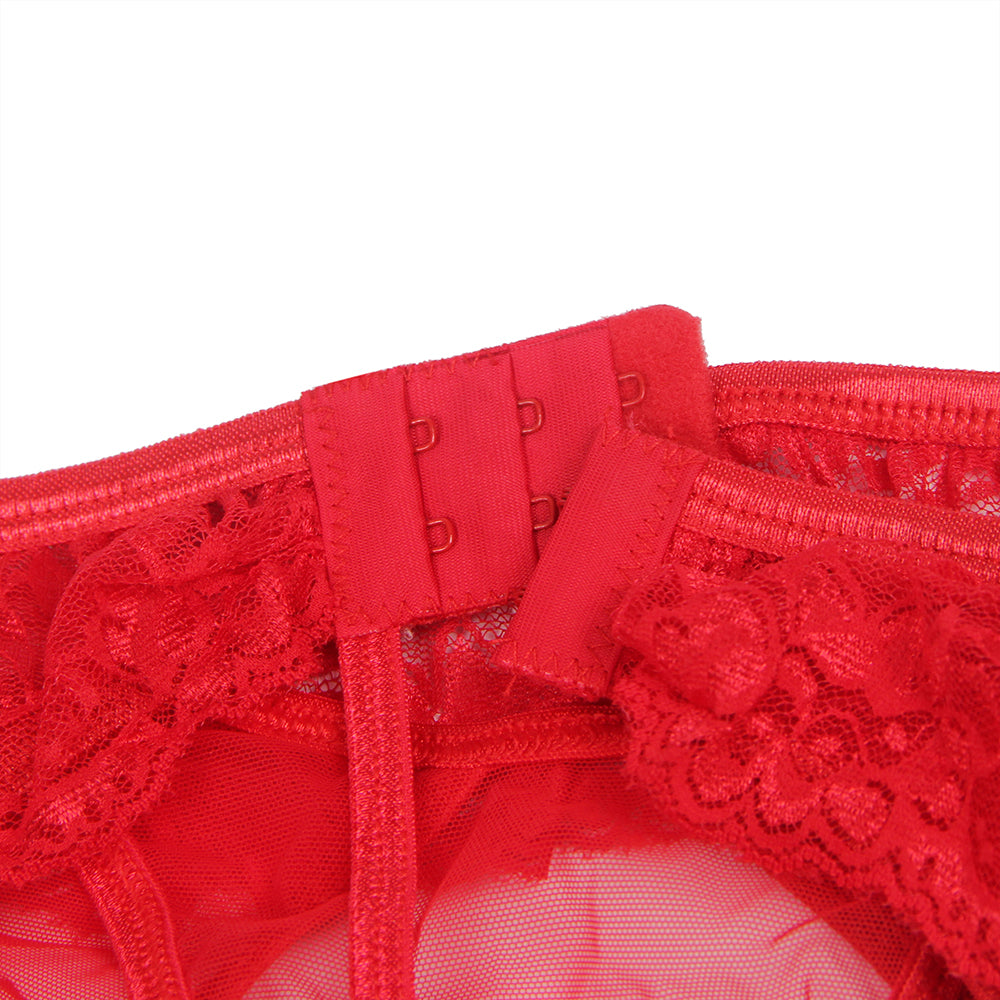 Red Transparent Lace Garter Panties