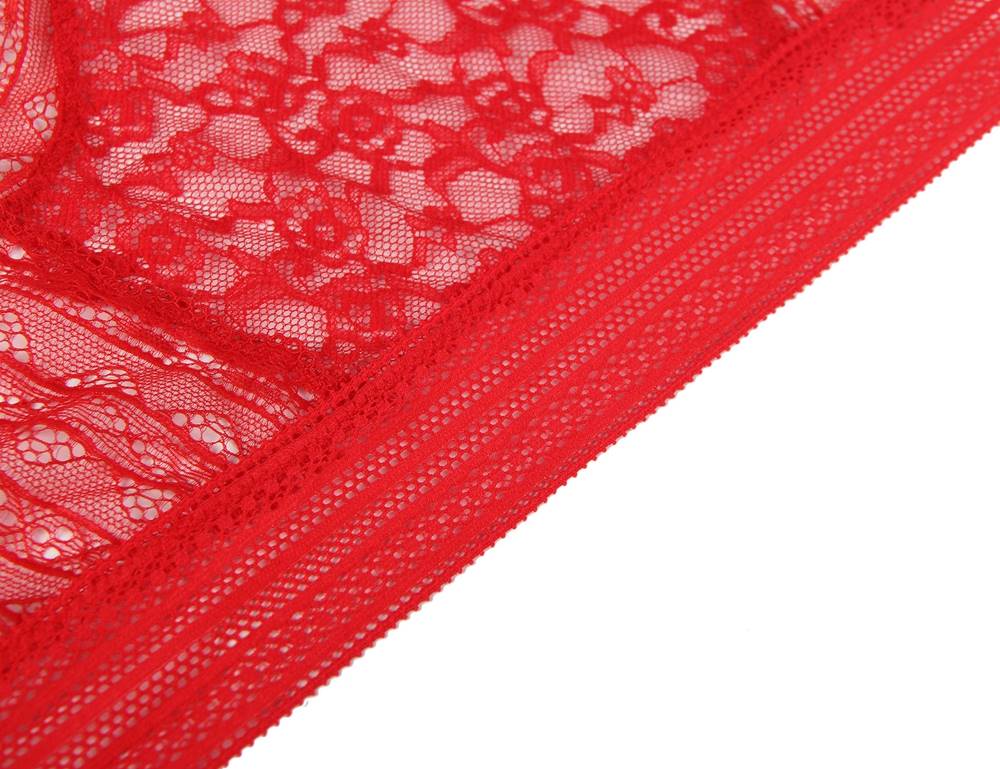 Red High Quality Floral Lace Sexy High Waist Perspective Panty