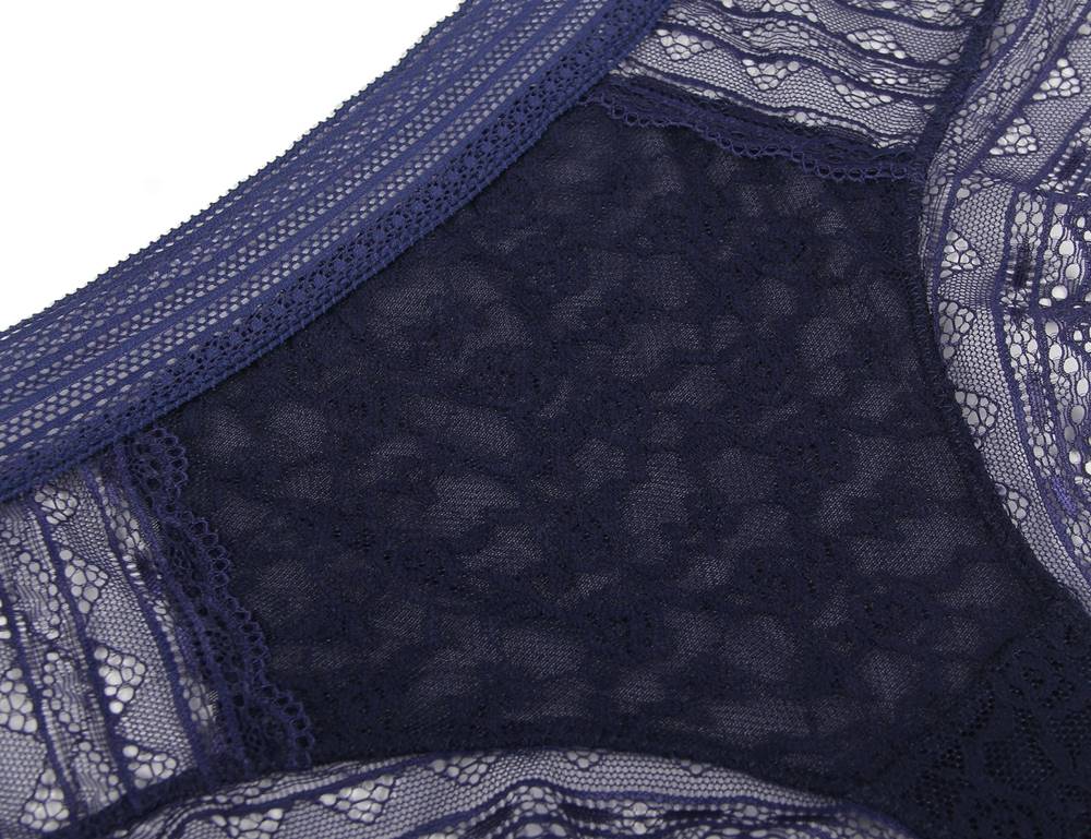 Blue High Quality Floral Lace Sexy High Waist Perspective Panty