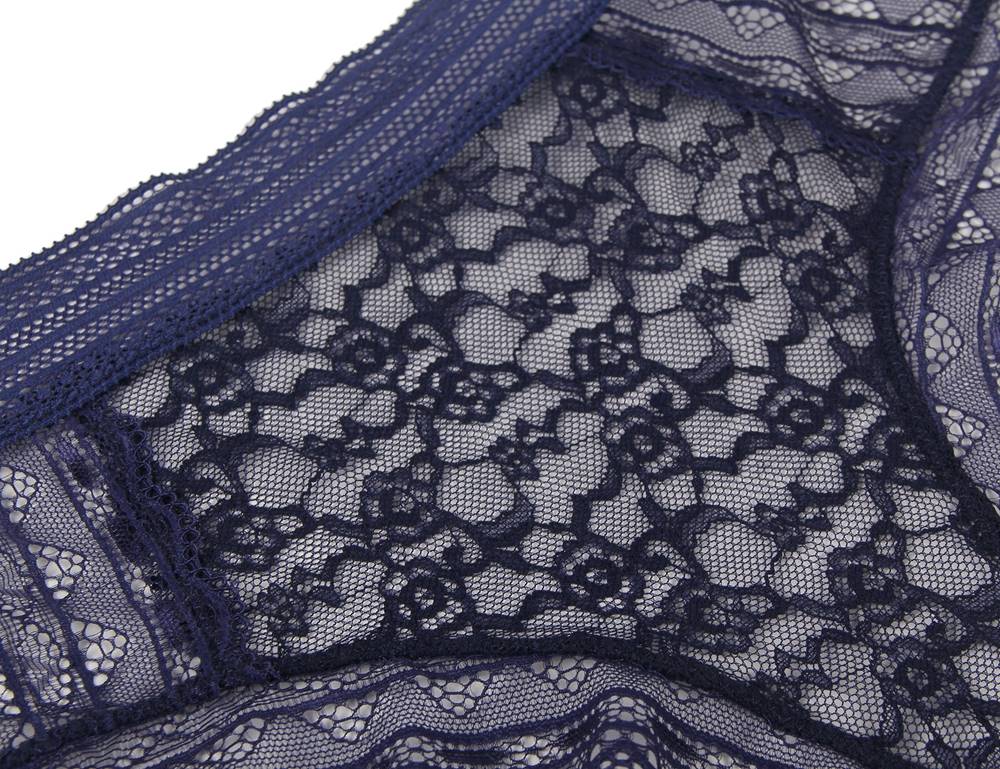 Blue High Quality Floral Lace Sexy High Waist Perspective Panty
