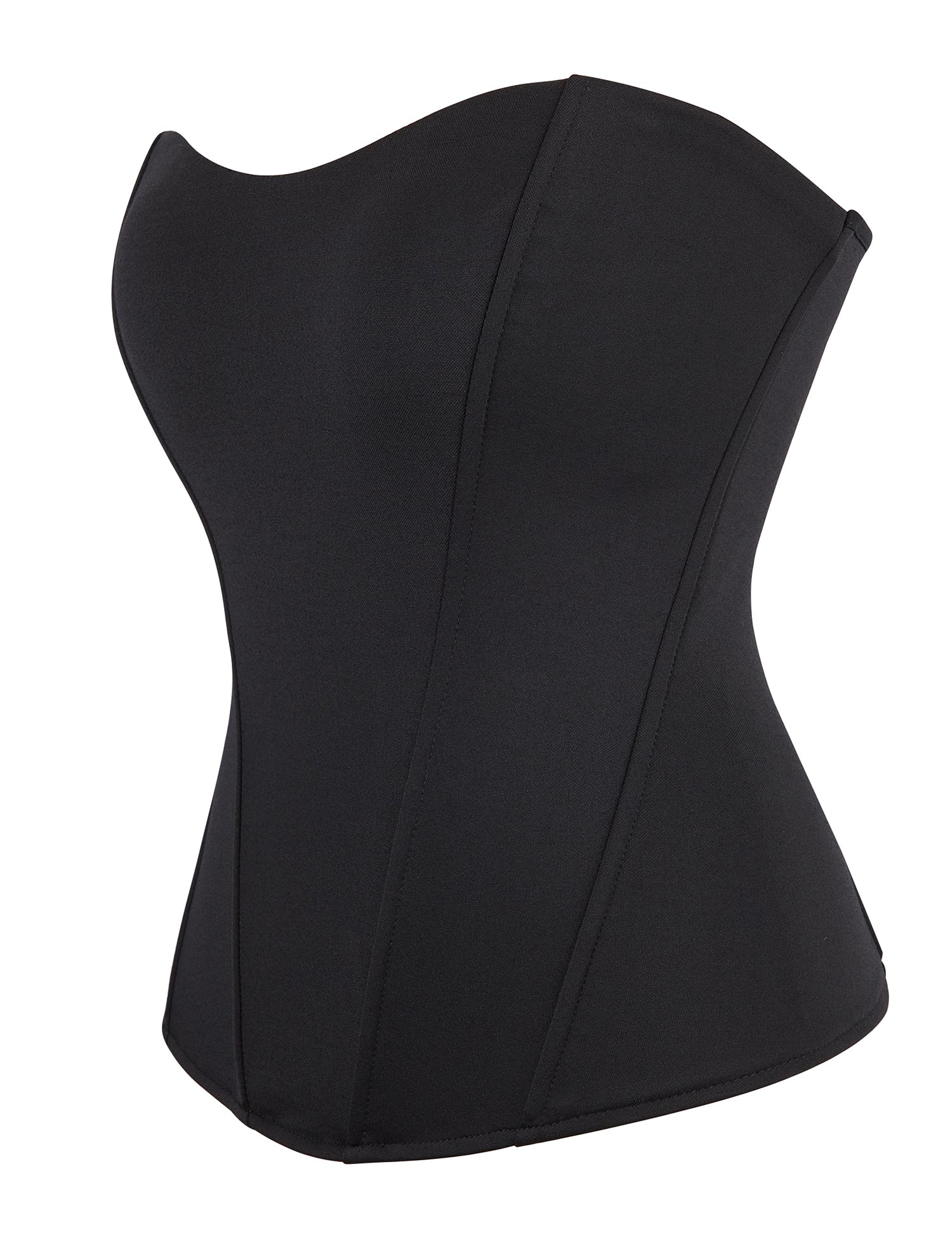 6 Pieces Plastic Bones Black Sexy Tube Top Zipper Palace Style Corset