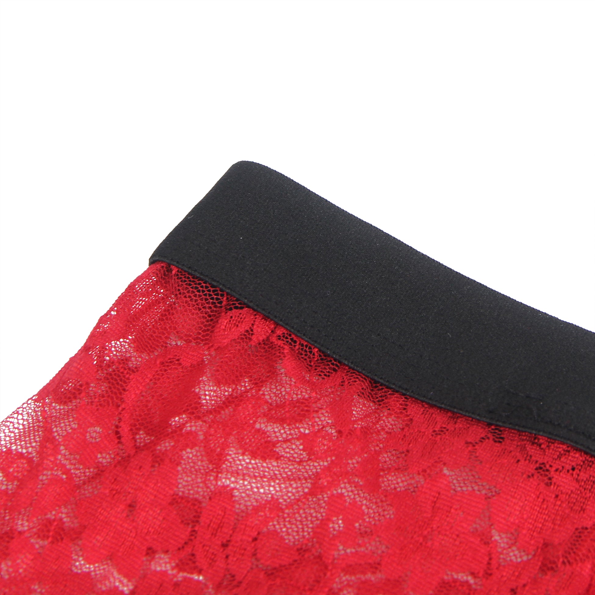 Burgundy Sexy Lace See Through Men Underwear