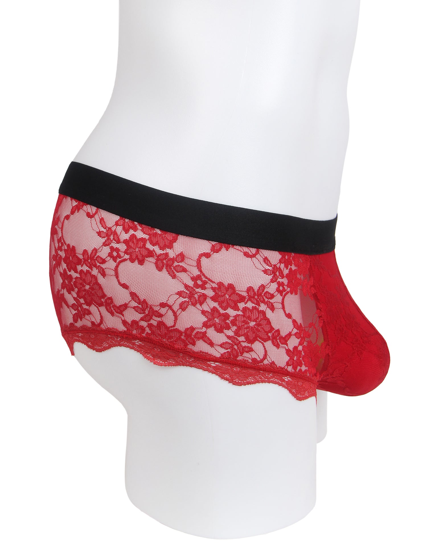 Burgundy Sexy Lace See Through Men Underwear