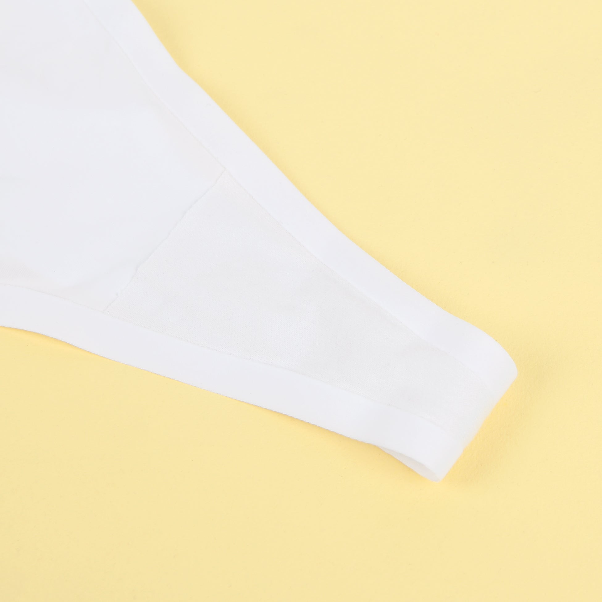 White Lace Ice Silk Sexy Seamless Panty
