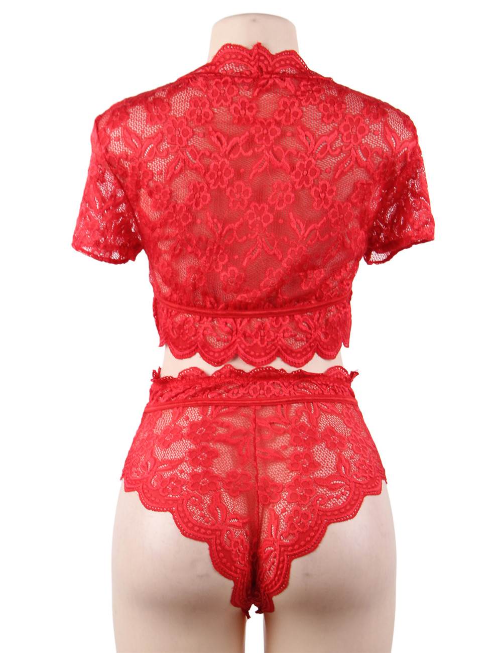Red Shiny Lace Deep - V Crop Bra & High - Waist Panty Set - TeaseFashion